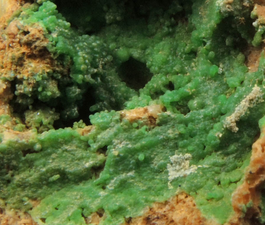 Conichalcite from San Rafael Mine, Nye County, Nevada