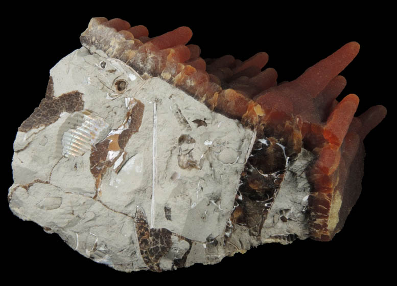 Calcite (stalactitic) from Bud Ehrle Locality, near Miles City, Carter County, Montana