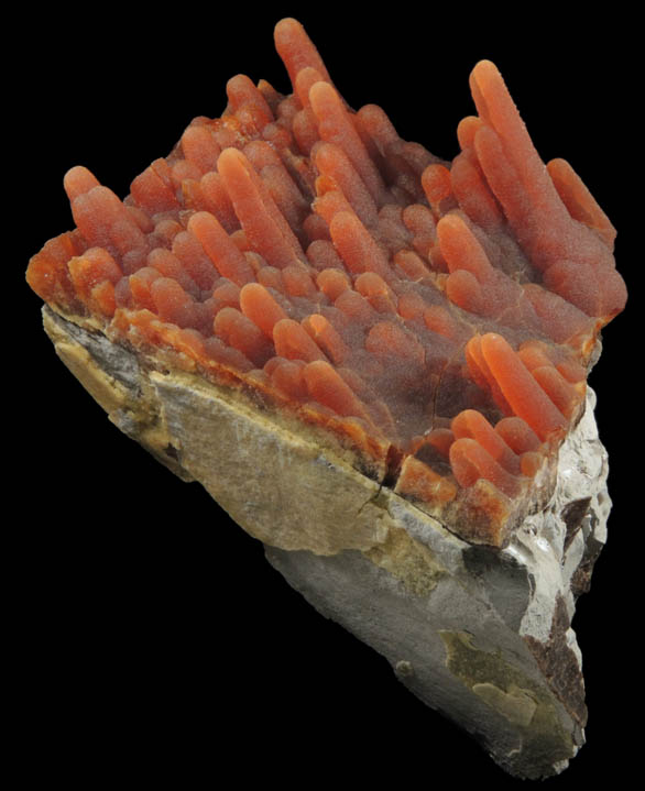 Calcite (stalactitic) from Bud Ehrle Locality, near Miles City, Carter County, Montana