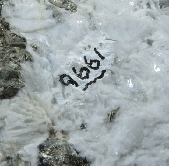 Pyrite and Barite from Lime Crest Quarry (Limecrest), Sussex Mills, 4.5 km northwest of Sparta, Sussex County, New Jersey