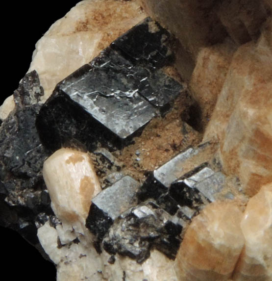 Meionite with Titanite from Bolton Lime Quarry, Bolton, Worcester County, Massachusetts