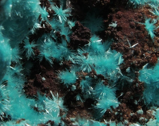 Aurichalcite from Mapimi, Durango, Mexico