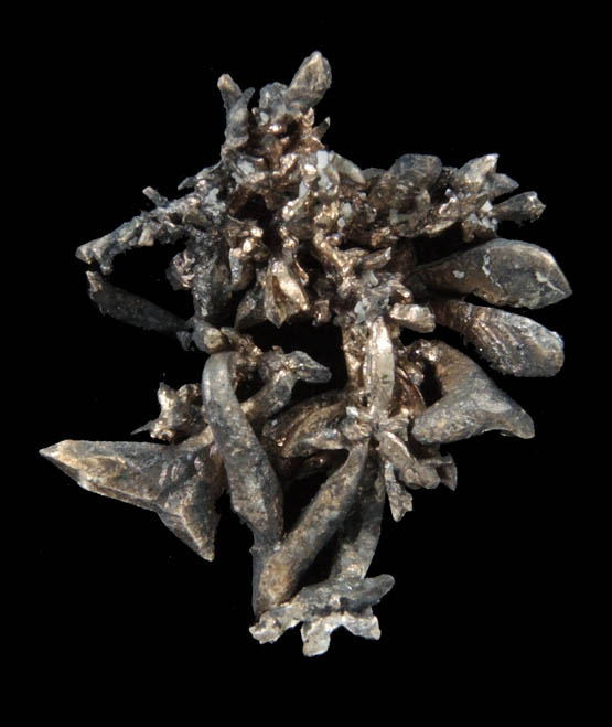 Silver from Andres del Rio District, Batopilas, Chihuahua, Mexico