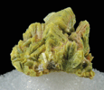 Autunite and Meta-autunite from Daybreak Mine, Spokane County, Washington (Type Locality for Meta-autunite)