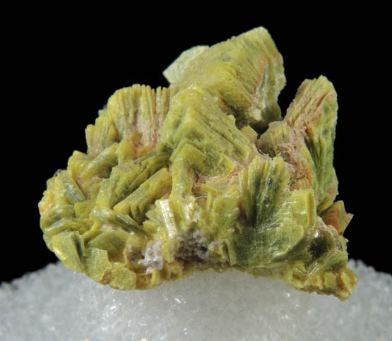 Autunite and Meta-autunite from Daybreak Mine, 4 km WNW of Day Mountain, Spokane County, Washington (Type Locality for Meta-autunite)