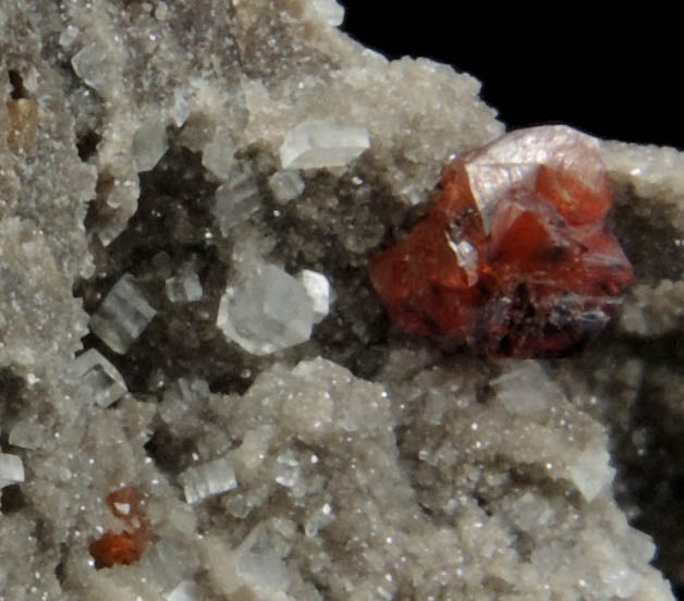 Sphalerite with Dolomite from Niagara Falls, Ontario, Canada