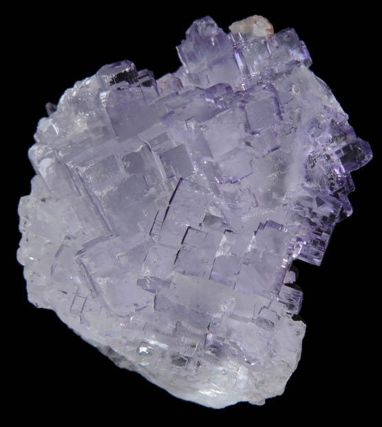 Fluorite from Melchor Muzquiz, Coahuila, Mexico