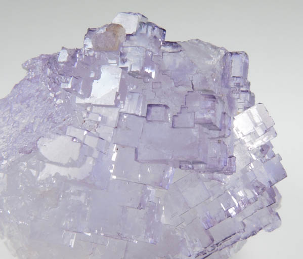 Fluorite from Melchor Muzquiz, Coahuila, Mexico