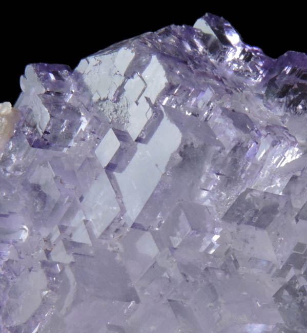 Fluorite from Melchor Muzquiz, Coahuila, Mexico