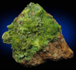 Pyromorphite from Wheatley Mine, Phoenixville, Chester County, Pennsylvania