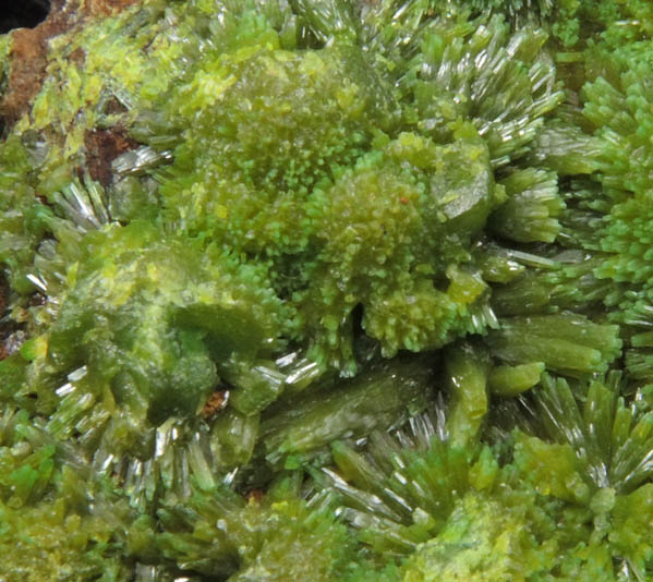 Pyromorphite from Wheatley Mine, Phoenixville, Chester County, Pennsylvania