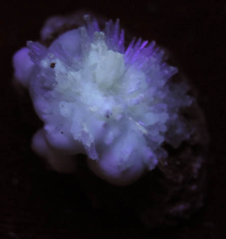 Aragonite var. Winnieite on Calcite from Ash Fork, Yavapai County, Arizona