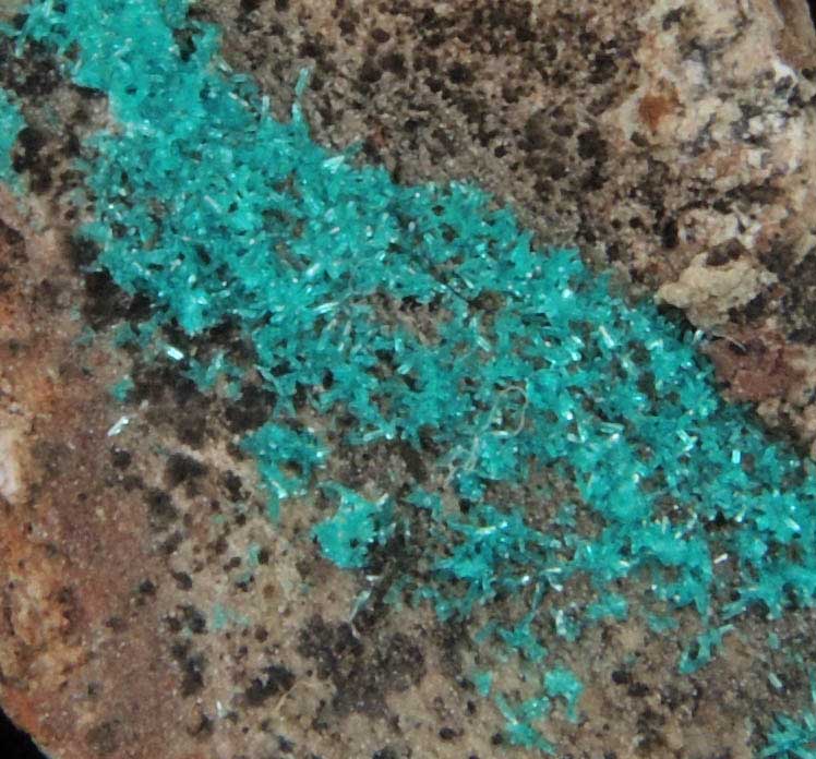 Dioptase from Harquahala Mine, La Paz County, Arizona