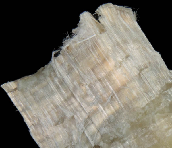 Clinochrysotile from Chrysotile, 42 km NNE of Globe, Gila County, Arizona