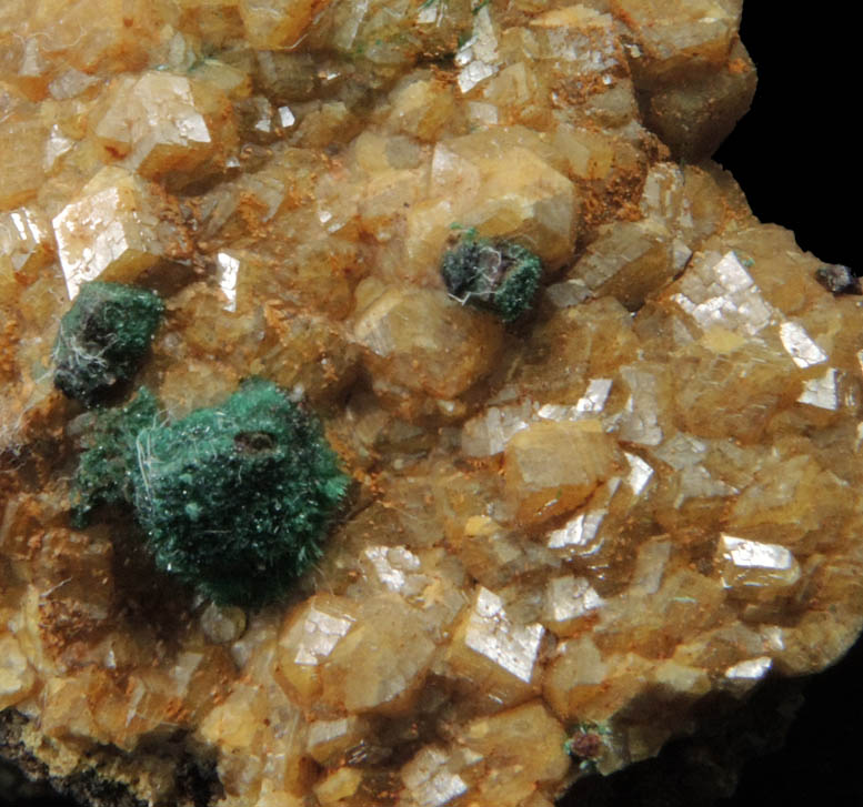 Grossular Garnet with Malachite from Concepcin del Oro, Zacatecas, Mexico