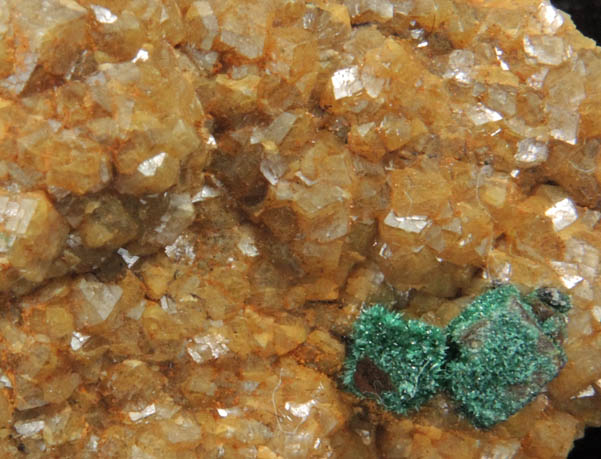 Grossular Garnet with Malachite from Concepcin del Oro, Zacatecas, Mexico