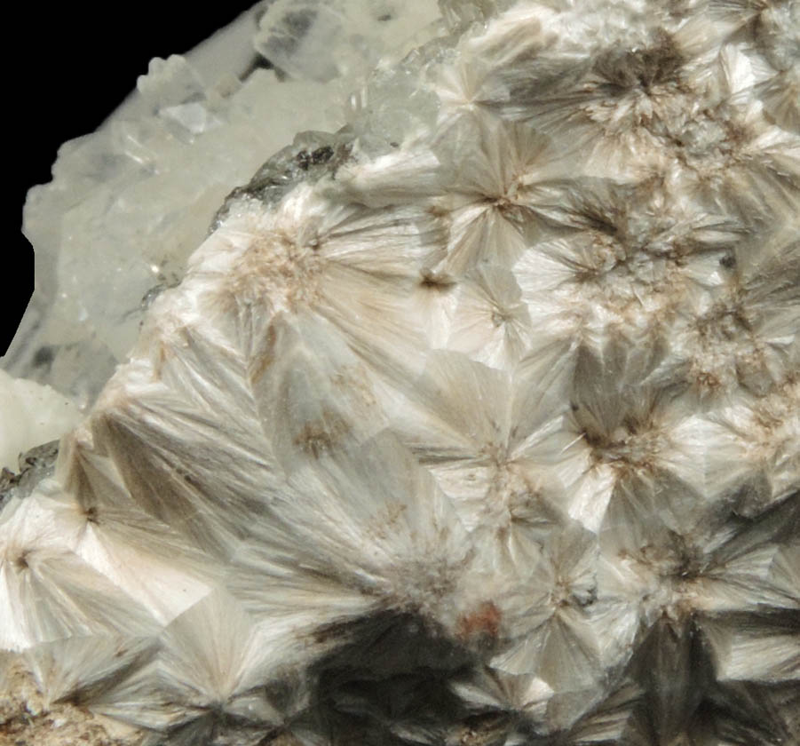 Apophyllite on Pectolite from Millington Quarry, Bernards Township, Somerset County, New Jersey