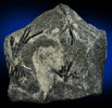 Dravite-Schorl Tourmaline from Mount Grace, Warwick, Franklin County, Massachusetts