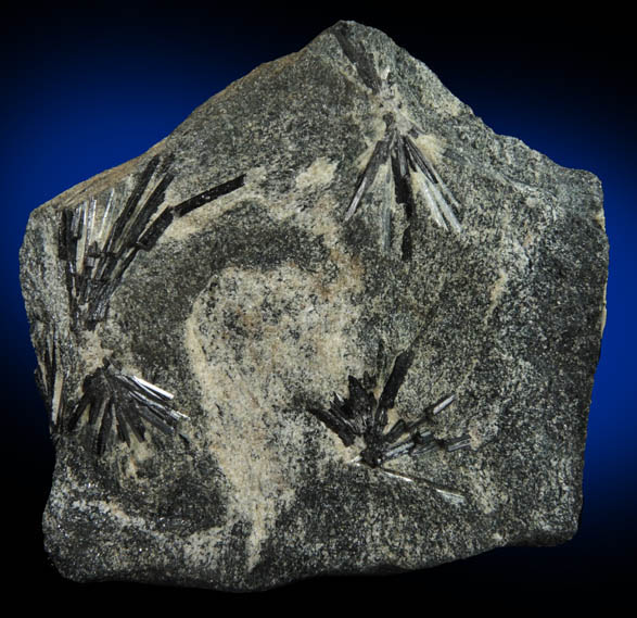 Dravite-Schorl Tourmaline from Mount Grace, Warwick, Franklin County, Massachusetts