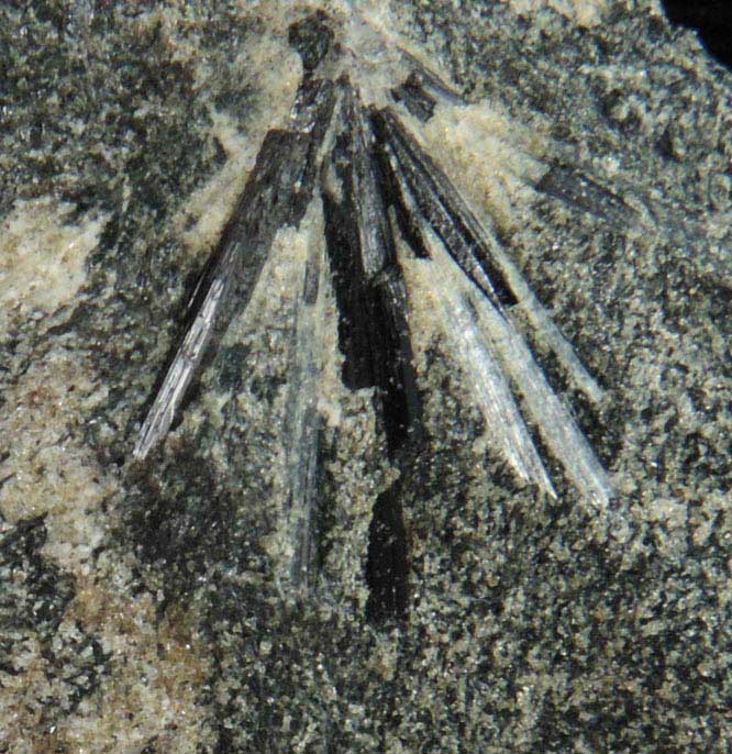 Dravite-Schorl Tourmaline from Mount Grace, Warwick, Franklin County, Massachusetts