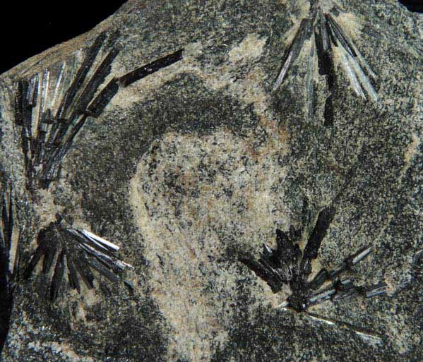 Dravite-Schorl Tourmaline from Mount Grace, Warwick, Franklin County, Massachusetts