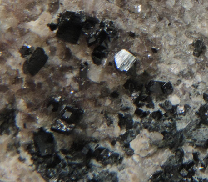 Babingtonite from West Roxbury Crushed Stone Quarry, Grove Street, West Roxbury, Suffolk County, Massachusetts