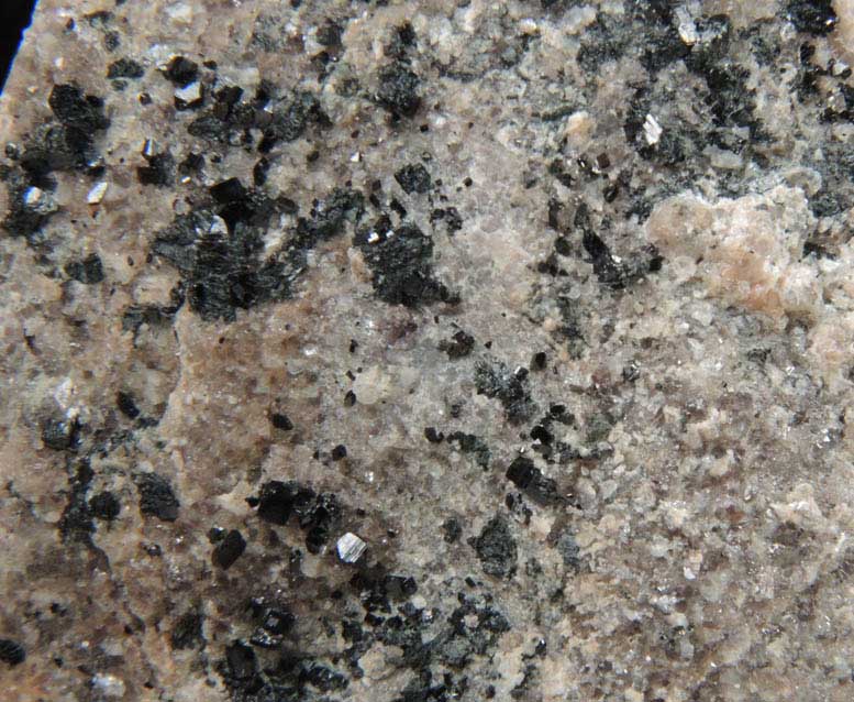 Babingtonite from West Roxbury Crushed Stone Quarry, Grove Street, West Roxbury, Suffolk County, Massachusetts