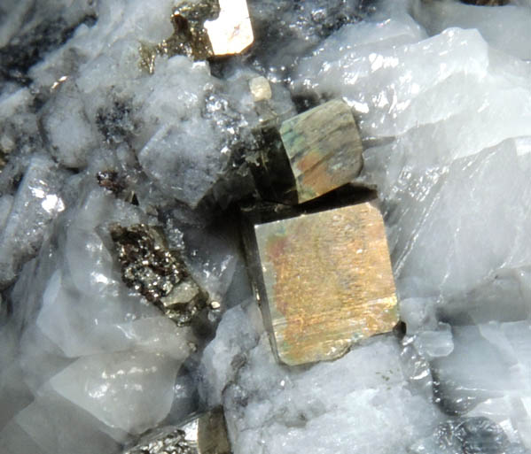 Pyrite from Lime Crest Quarry (Limecrest), Sussex Mills, 4.5 km northwest of Sparta, Sussex County, New Jersey