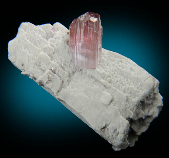 Elbaite var. Rubellite Tourmaline on Microcline from Himalaya Mine, Mesa Grande District, San Diego County, California