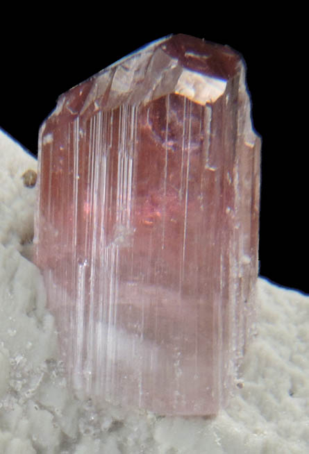 Elbaite var. Rubellite Tourmaline on Microcline from Himalaya Mine, Mesa Grande District, San Diego County, California