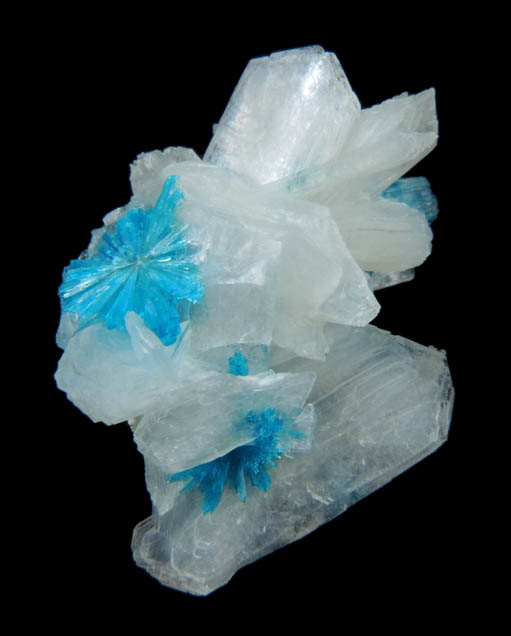 Cavansite on Stilbite-Ca from Wagholi Quarry, Maharashtra, India