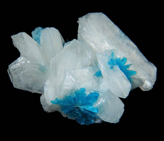 Cavansite on Stilbite-Ca from Wagholi Quarry, Maharashtra, India