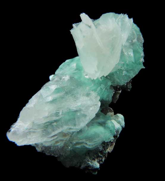 Calcite on Aurichalcite from Kelly Mine, Magdalena District, Socorro County, New Mexico