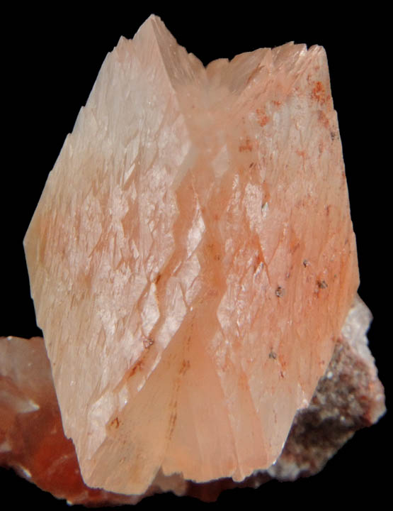 Calcite (twinned crystals) from Radyr, northwest of Cardiff, Wales