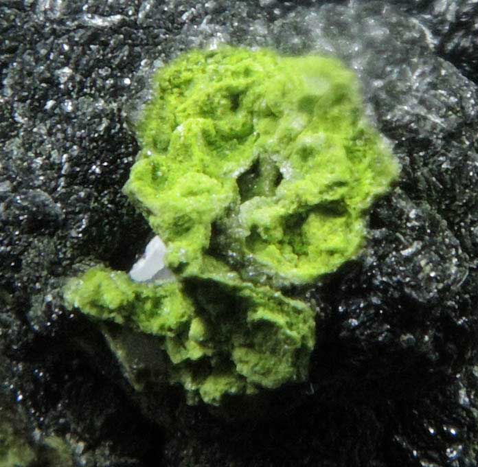 Mottramite from Tsumeb Mine, Otavi-Bergland District, Oshikoto, Namibia