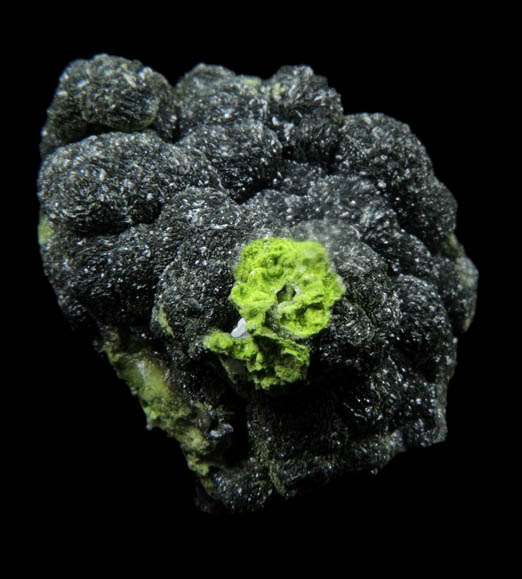 Mottramite from Tsumeb Mine, Otavi-Bergland District, Oshikoto, Namibia