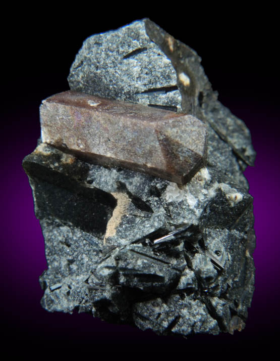 Lorenzenite var. Ramsayite with Aegirine from Mount Flora, Lovozero massif, Kola Peninsula, Russia