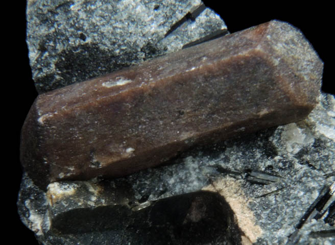 Lorenzenite var. Ramsayite with Aegirine from Mount Flora, Lovozero massif, Kola Peninsula, Russia