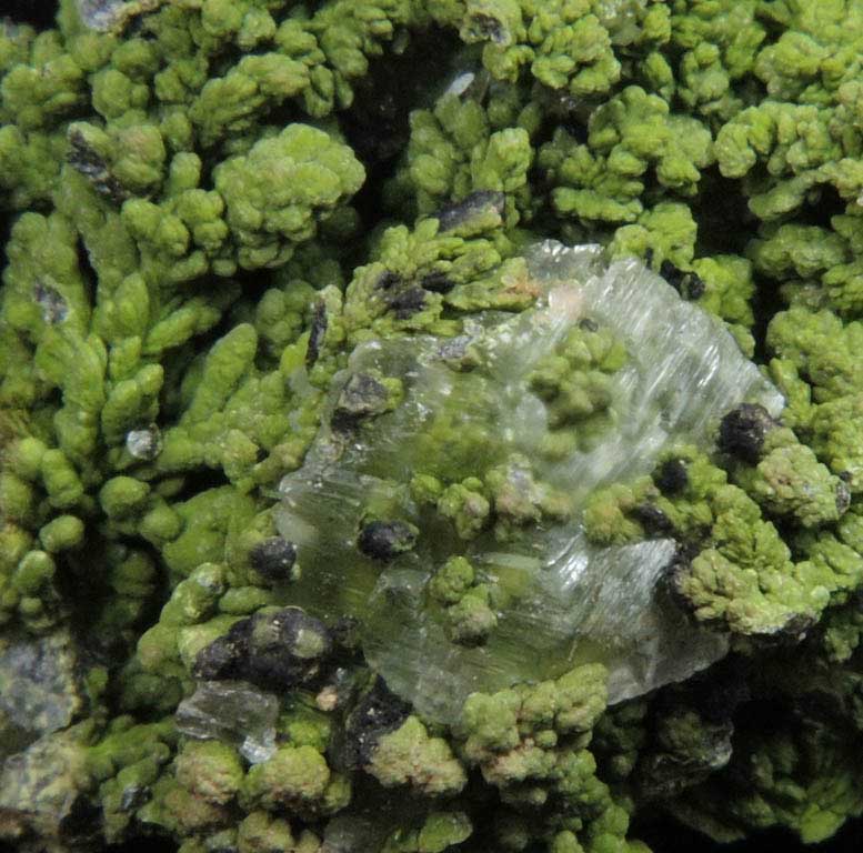 Mottramite intergrown with Calcite from Tsumeb Mine, Otavi-Bergland District, Oshikoto, Namibia