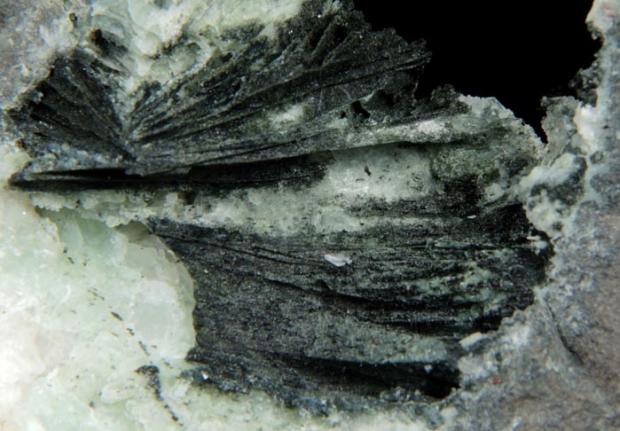 Chlorite over Prehnite pseudomorphs after Anhydrite with Calcite from New Street Quarry, Paterson, Passaic County, New Jersey