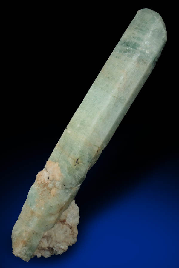 Beryl from Long Hill, Haddam, Middlesex County, Connecticut