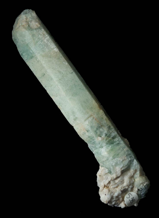 Beryl from Long Hill, Haddam, Middlesex County, Connecticut