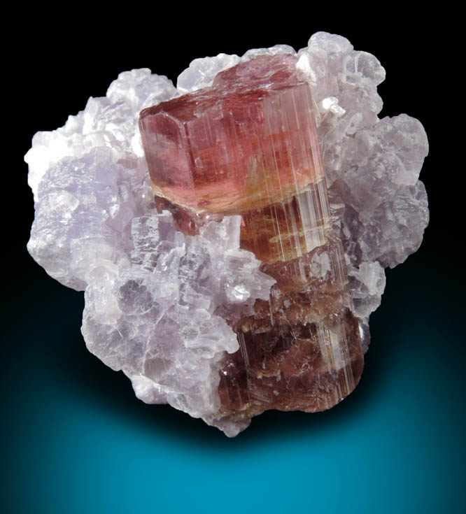 Elbaite var. Rubellite Tourmaline in Lepidolite from Minas Gerais, Brazil