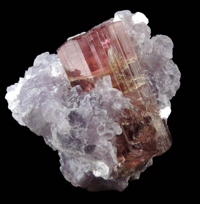 Elbaite var. Rubellite Tourmaline in Lepidolite from Minas Gerais, Brazil