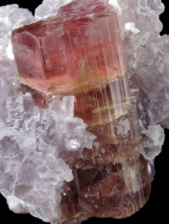 Elbaite var. Rubellite Tourmaline in Lepidolite from Minas Gerais, Brazil