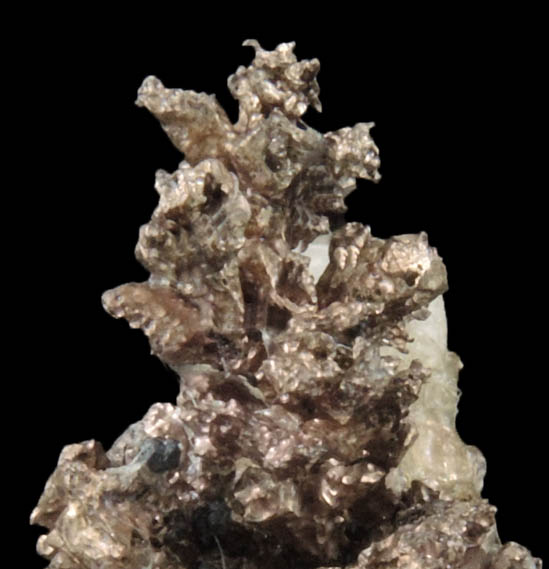 Silver from Andres del Rio District, Batopilas, Chihuahua, Mexico