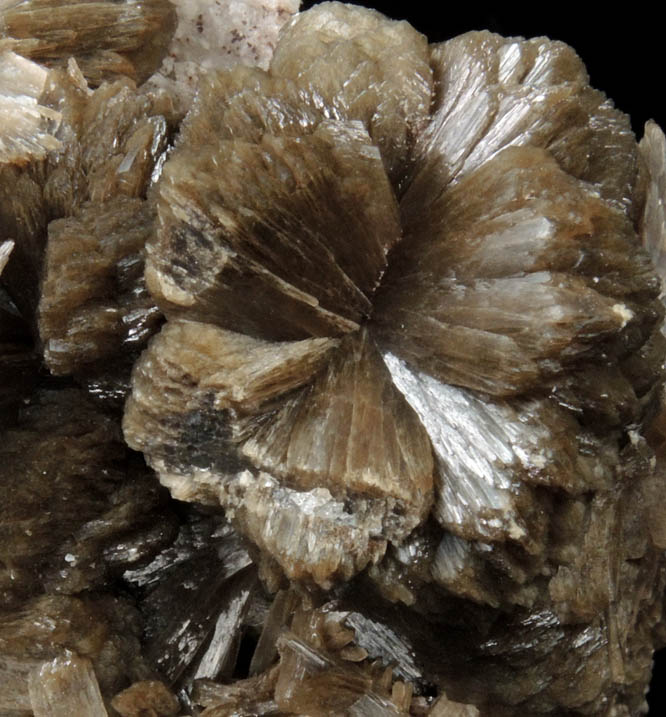 Stilbite over Quartz pseudomorphs after Anhydrite from New Street Quarry, Paterson, Passaic County, New Jersey