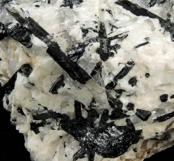 Schorl Tourmaline in Albite from La Flamme Quarry, Minot, Androscoggin County, Maine