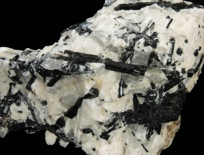 Schorl Tourmaline in Albite from La Flamme Quarry, Minot, Androscoggin County, Maine