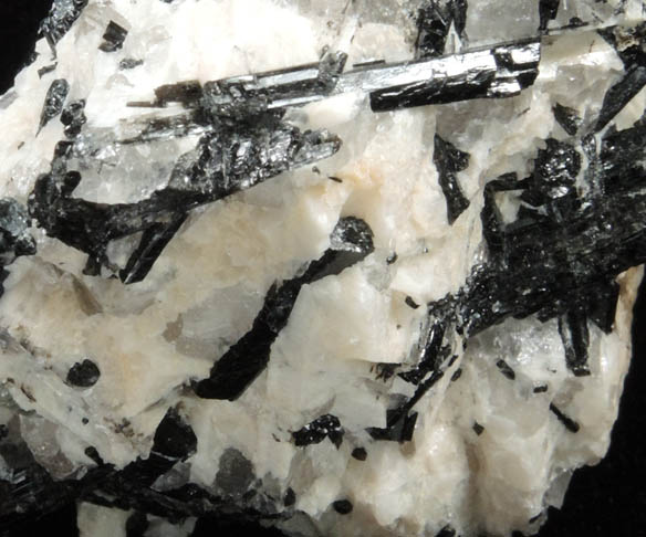 Schorl Tourmaline in Albite from La Flamme Quarry, Minot, Androscoggin County, Maine